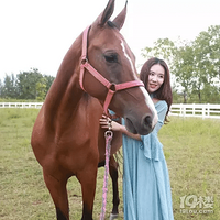 �ﺼ���庣�ϻ�������� Ƥ��ͧ ��� �տ� ������ Ұ�� ����