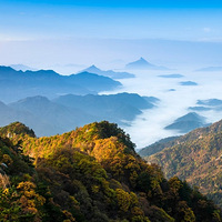 ������������ɽ��ɫ