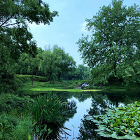 ���ݡ���������é�Ҳ�