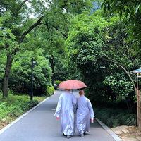 ���������÷�ϲ�£������кܳ�����ի����5Ԫ/�ݹܱ���