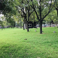 �Ҿ�ϲ������