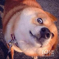 ����ҵ�Ž����ڴ��ݱĴ�������԰~��ҵ�����ɶ�