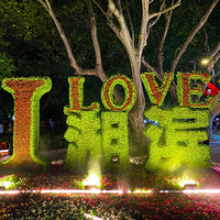 ���ݡ��������н�ҹ��