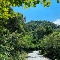 ���ݡ���ɽ�β���