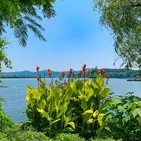 ���ݡ�����������Է���