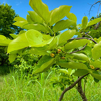 ���ݡ���Ϫʪ���ܼҴ塪��ׯ����Ϫ����