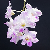 ĵ��������ͬ��