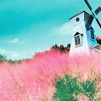 ����ʤ��