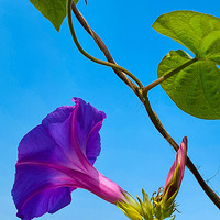 ���ݡ���Ϫʪ���̵̣��������룩��2019��Ϫ�＾������չ