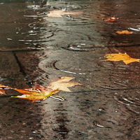 �����߹�