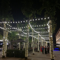 ����·ҹ��