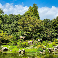 ����ֲ��԰����������2019�㽭ʡ԰��������Ʒչ