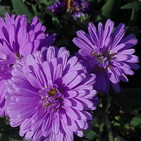 ·���������