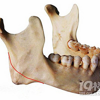 ����ʱ������ҽԺ-������ᡰ���η�������