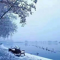 ����ѩ��