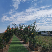 ������ơ���ˮ��ɽ����������~~~