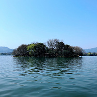 ����������������̶ӡ��