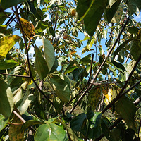 ��10.3���ϼҹ��