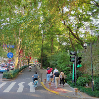 ϲ�������������߸¸����ֵ��⼸����Ǻû�