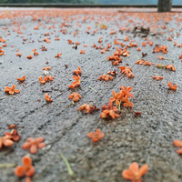 ������ʵһֱ���ڵȴ���ʱ��ֻ������δ���