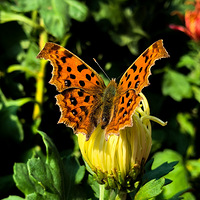 ��������������������ݺ��Ǯ�����ջ�չ