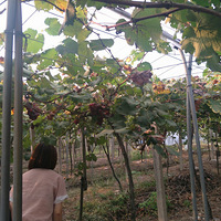 �ֽ�����ͬѧС�ۡ�