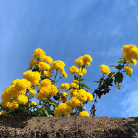 ���ݡ��������㽭����֮����Ҵ�