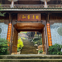 ���������������й���Ҷ�����(��������)