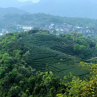 ���������������ϸ߷�