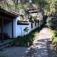 �����������������ӵ�Ժ