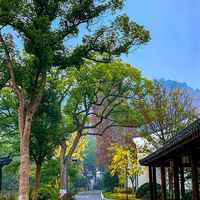 ���ݵ����Ź�Ȫɽׯ�Ƶꡤ������