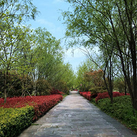 ������Ϫʪ���ٵ̾�ɫ