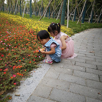 ������һ��