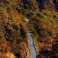 ������·���й��������Ĺ�·