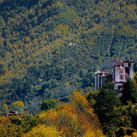 ���д�� ��û��һ��ͽ��