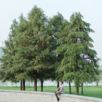 Ҫ��ȥ��¥��ɢ����