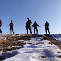 �½�ͽ�� ����������½�����˹�۷���ɫ��