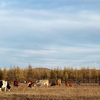 ƽ����ԭ֮�� ���ϲ�ԭ֮��  ����֮��