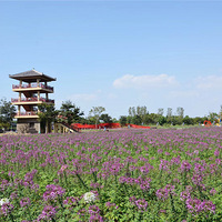 �������� ���������δ�������� ũ������ ι��С��ţ�����λ