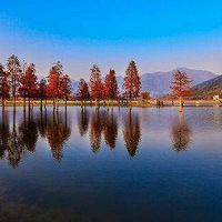 �������������ԭ����ô��