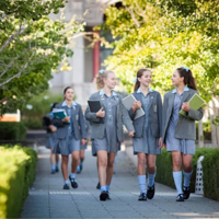 ʩǿ��ѧ:���ް���˽��������У����,�аĽ�����������������̨��