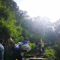 �����ຼ��ɽ�ŵ�ͽ���������л�߻�