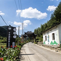 ɽ��������������