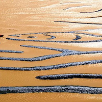 ȫ����ļ ���Ľ�Ӱ���й�����Ӱ�й���ȫ����Ӱ����֮ϼ��ƪ