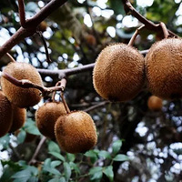 [ͽ����Խ]10.20 ��Ů�崩Խ��̽����ŵ�һ�����