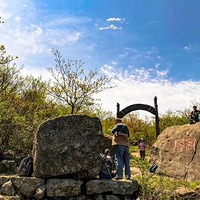 �� 11��30�� ����Խ�ŵ� | ͽ������ɭ�ֹŵ����ý����������