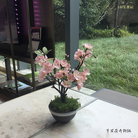 ֽ��ӣ���ֹ�����