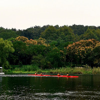 é�Ҳ���ˮ���˶�