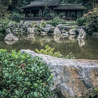 �����������������ɽ�ϻ���С��