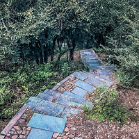 ���������������Ϻ�ɽ��ɽ��ʤ���㽭��ѧ��ȪУ�������۵ף�